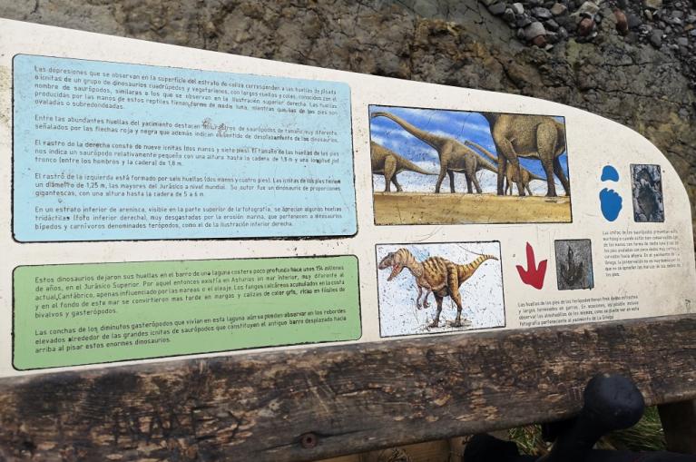 Cartel interpretativo de dinosaurios 