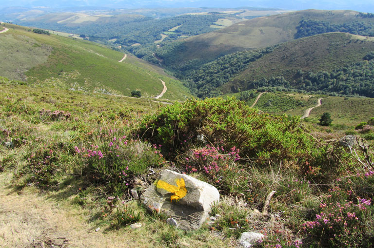 Flecha amarilla Camino Primitivo